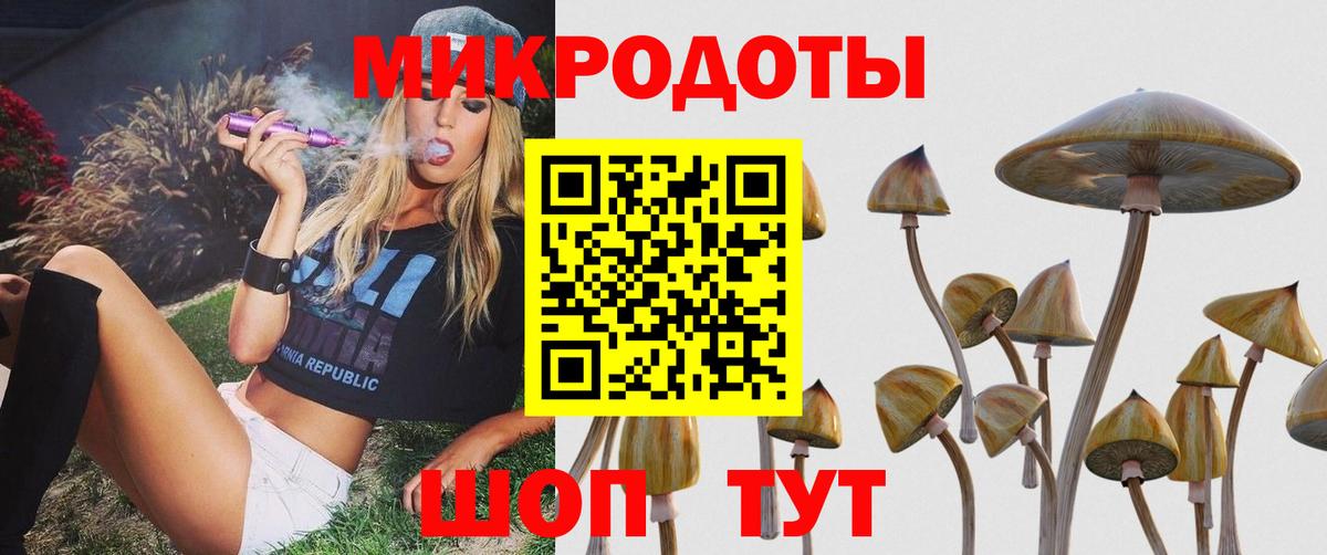 Всеволожск  Галлюциногенные грибы Psilocybine cubensis  Вход с VPN 