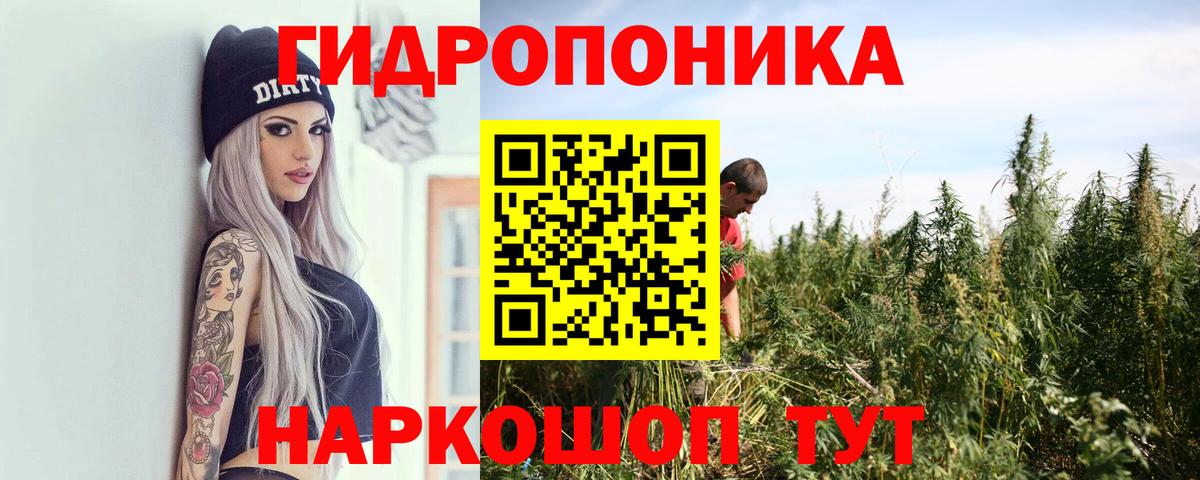 Канабис Bruce Banner  Вход с VPN  Всеволожск  Канабис THC 21%  Бошки марихуана планчик 
